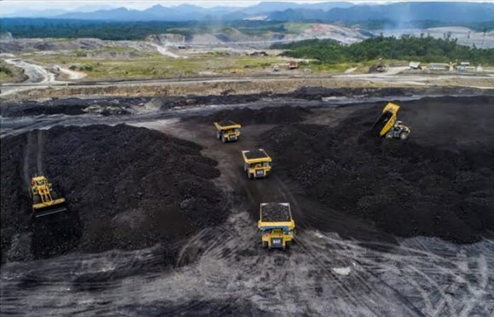 3 Daerah Ini Miliki Cadangan Batubara Terbesar di Indonesia